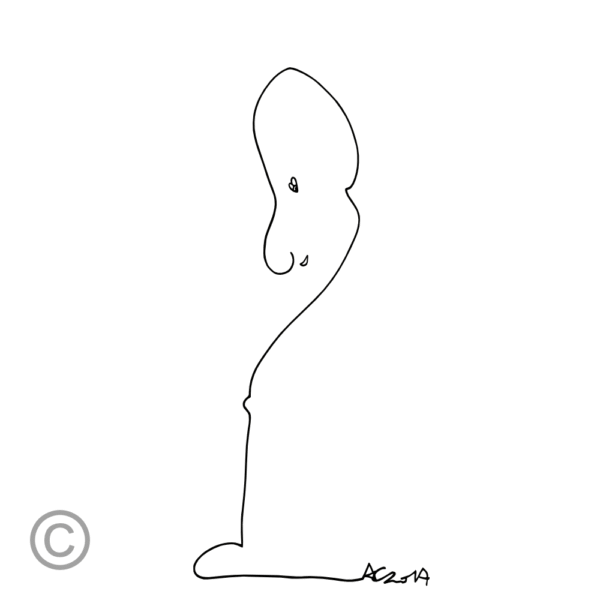 Bauchnabel – Bild 6